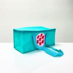 Reusable Green Cooler Bag, Small size, Rectangular shape with Zipper – K019