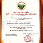 Trà Sen đặc biệt