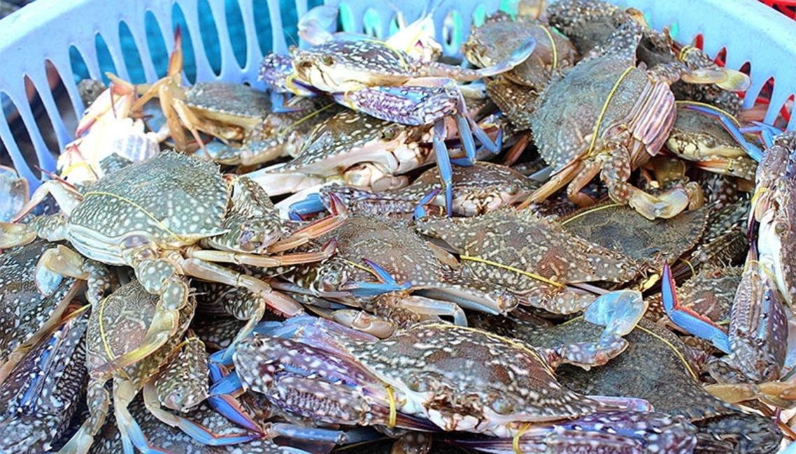 các mặt hàng thủy sản xuất khẩu của việt nam