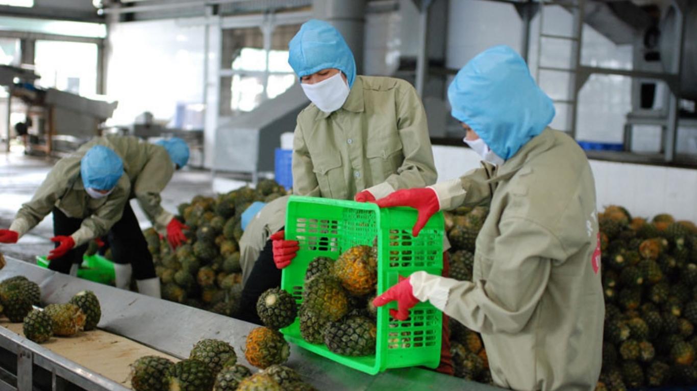 các mặt hàng xuất khẩu của việt nam sang nhật