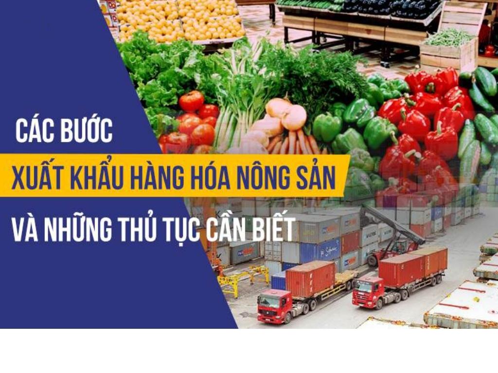 cach-xuat-khau-nong-san-viet-nam.jpg
