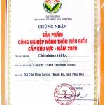 Chè xanh đặc sản Hoài Trung