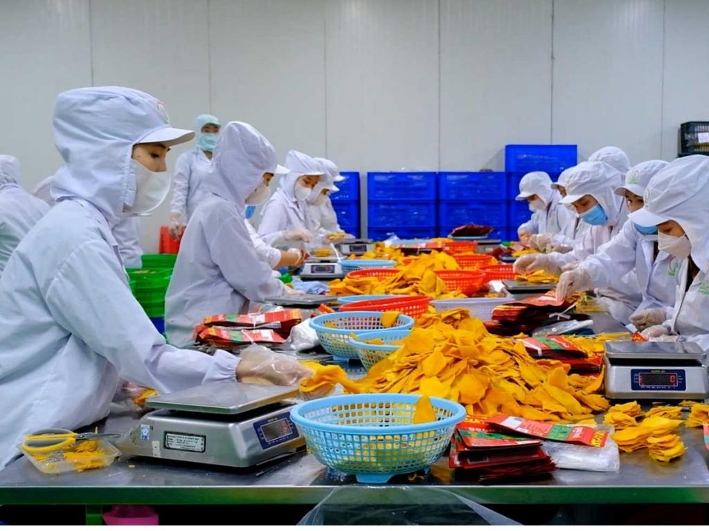 hàng việt nam xuất khẩu