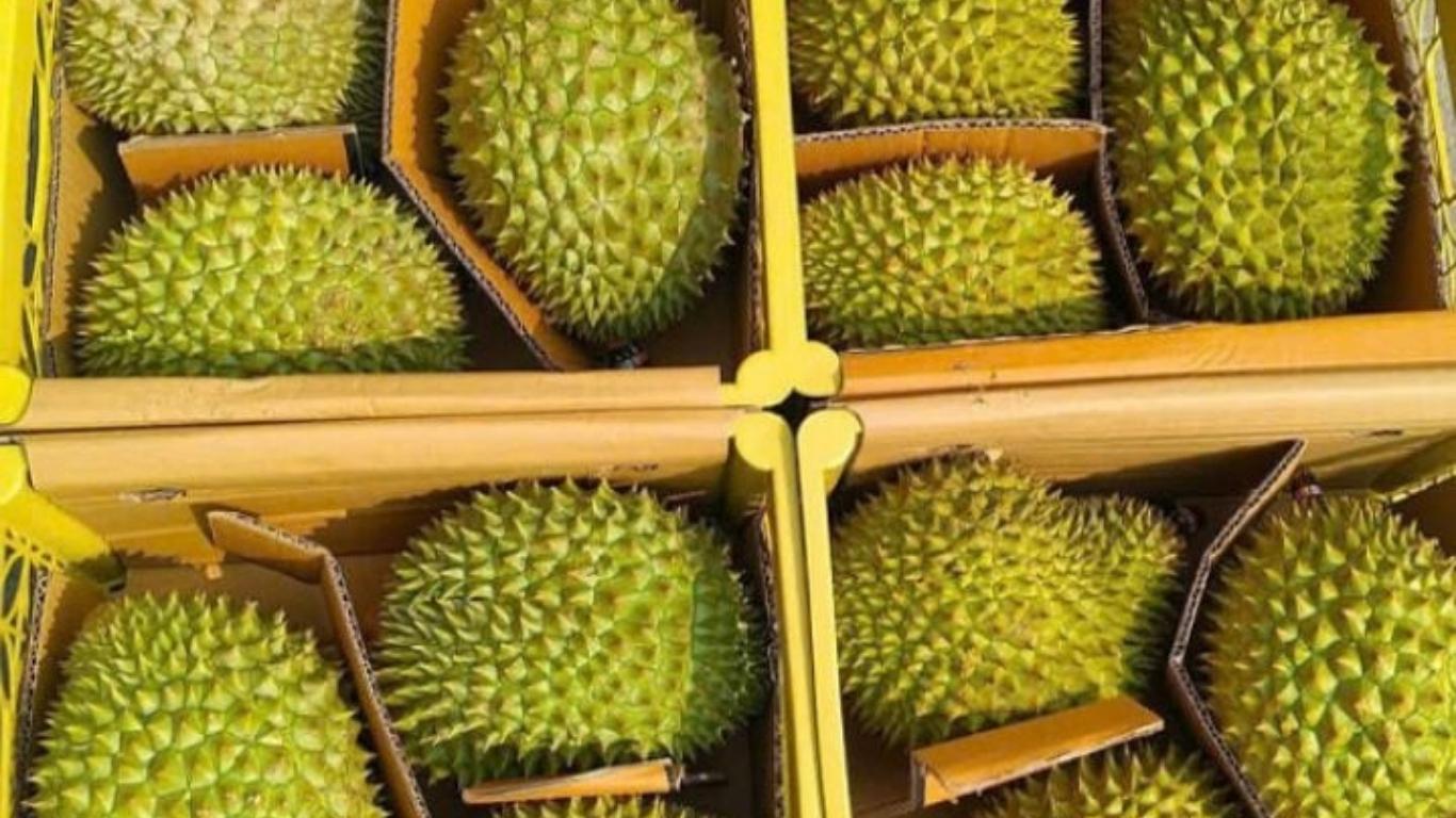 hàng việt nam xuất khẩu sang trung quốc