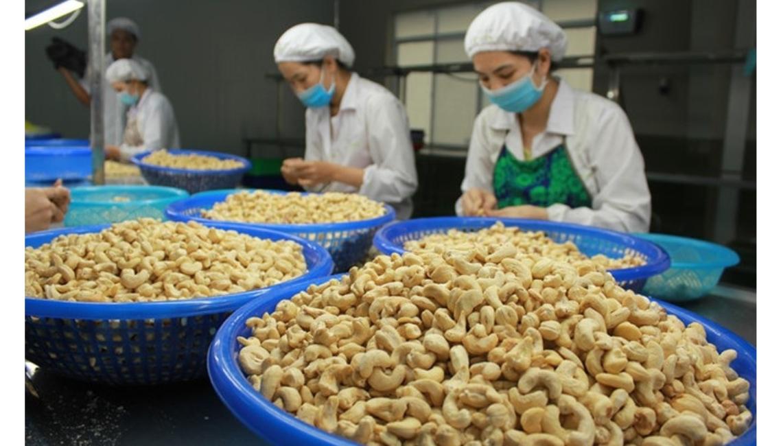 những mặt hàng nông sản xuất khẩu của việt nam