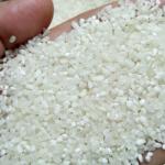 100 Giá gạo tấm ODE / OEM Gạo thực phẩm ngon HALAL BRCGS HACCP ISO 22011 Nhà sản xuất đóng gói chân không Châu Á