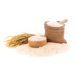 Bảo quản gạo sẵn sàng xuất khẩu máy gặt lúa Jasmine chất lượng cao Máy phân phối gạo Việt Nam Bioaqua từ nhà sản xuất Việt Nam