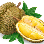 Sầu riêng tươi Việt Nam chất lượng cao để xuất khẩu sầu riêng tươi - nhà cung cấp tại Việt Nam