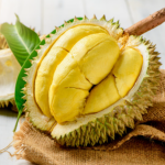 Sầu riêng tươi Việt Nam chất lượng cao để xuất khẩu sầu riêng tươi - nhà cung cấp tại Việt Nam