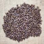 Hạt cà phê rang đậm Arabica rang chất lượng cao Quy trình rửa 95% Trưởng thành Cầu Đất Farm Highland Vietnam