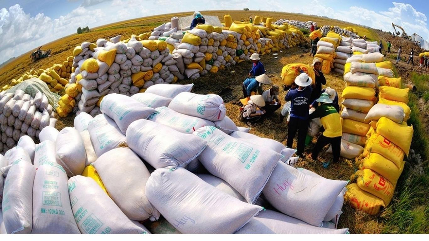 xuất khẩu gạo sang philippines