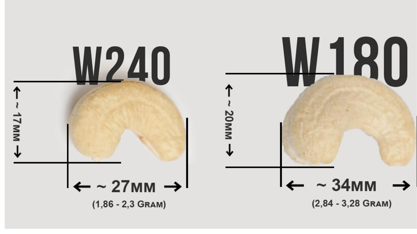 xuất khẩu hạt điều